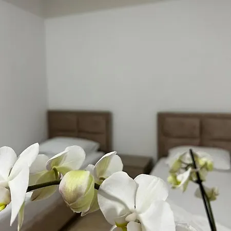 Alex Apartment