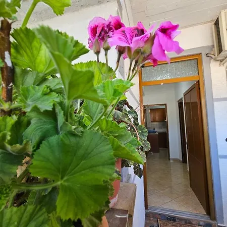 Apartamento Alex *